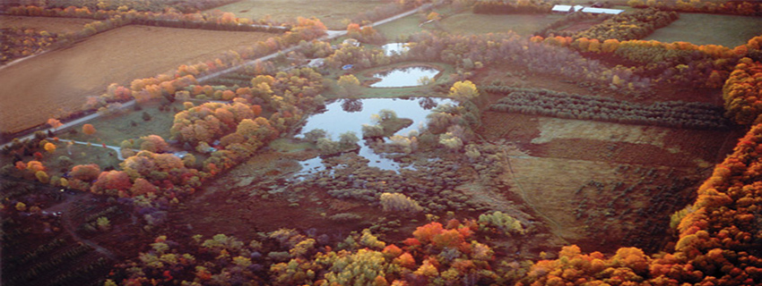 Proposed Rockfort Quarry